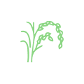 icon3.png