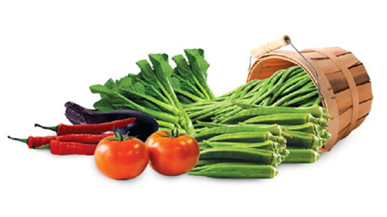 This is the vegetable informative tab.