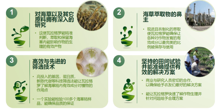 Geapower 独特萃取法