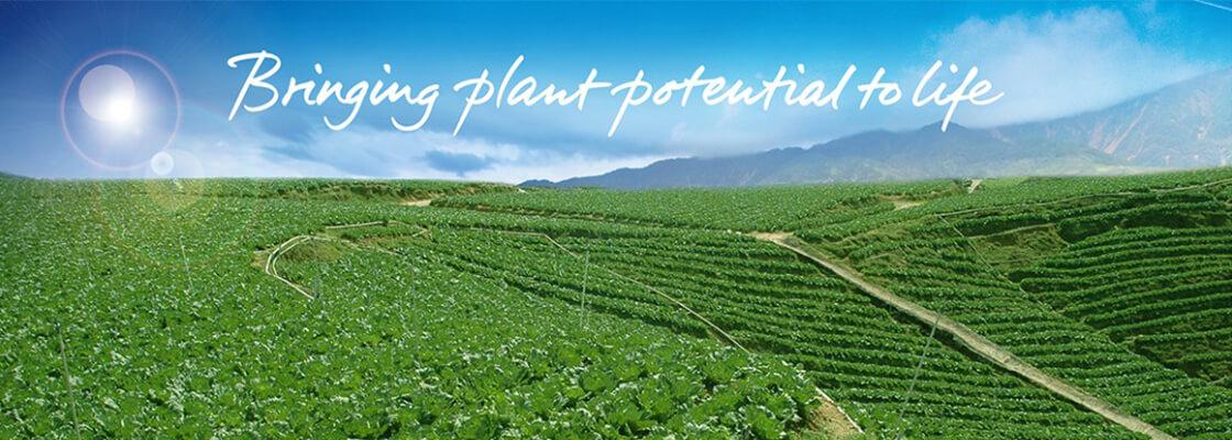 Bringing plant potential to life