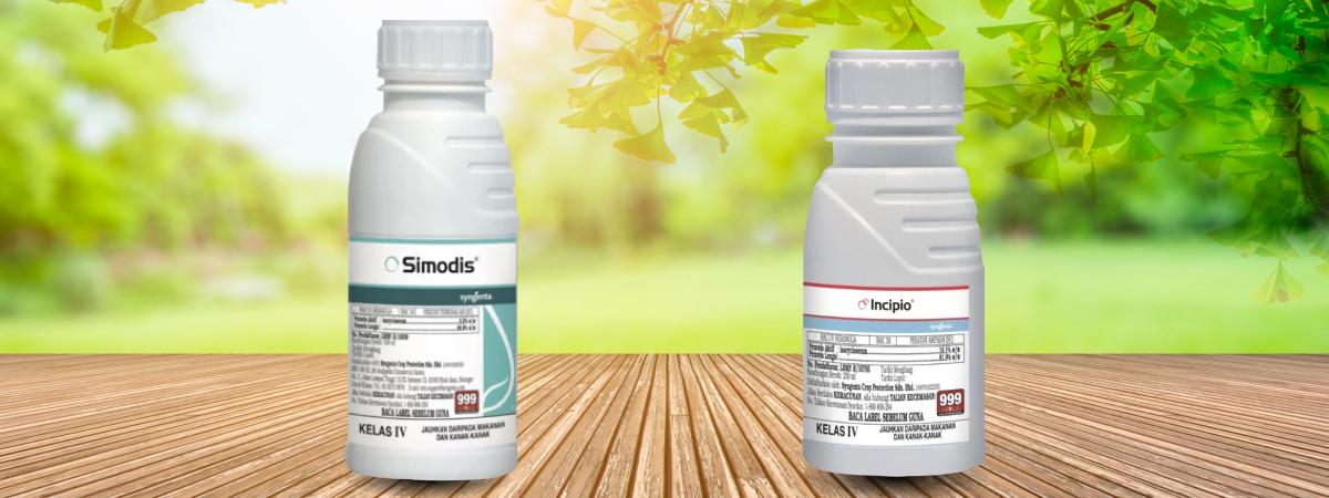insecticide