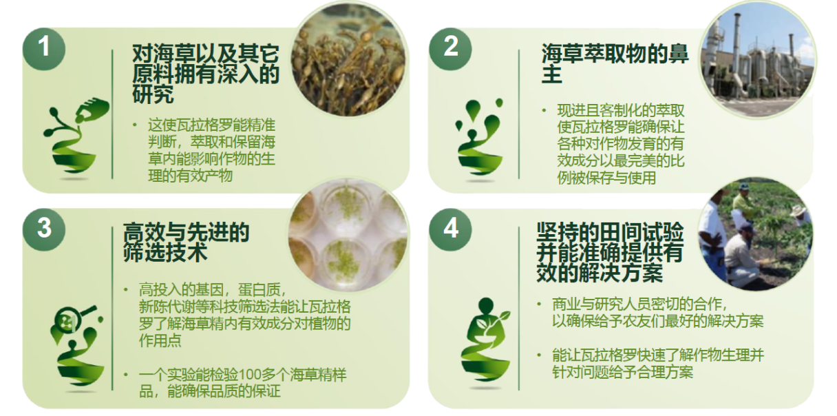 Geapower 独特萃取法