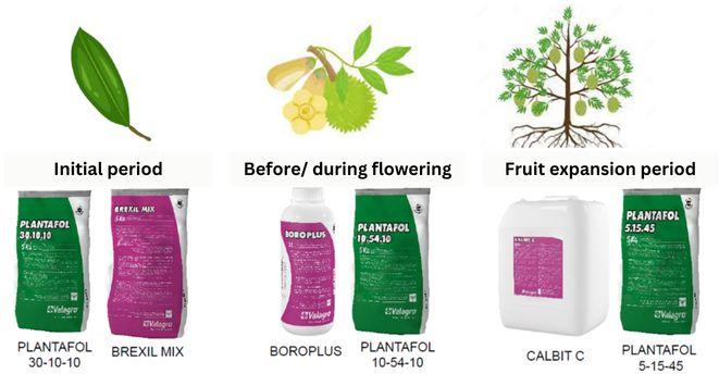 General spray program 