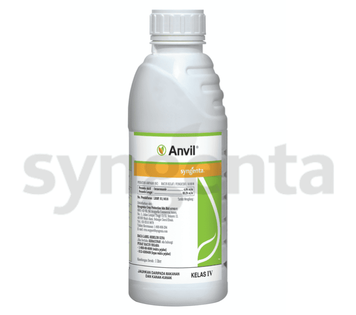 Anvil
