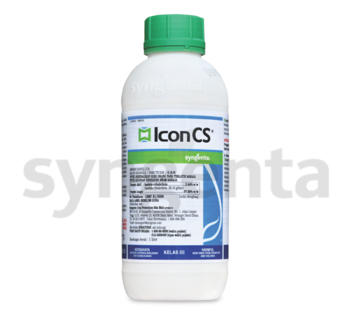 Icon CS