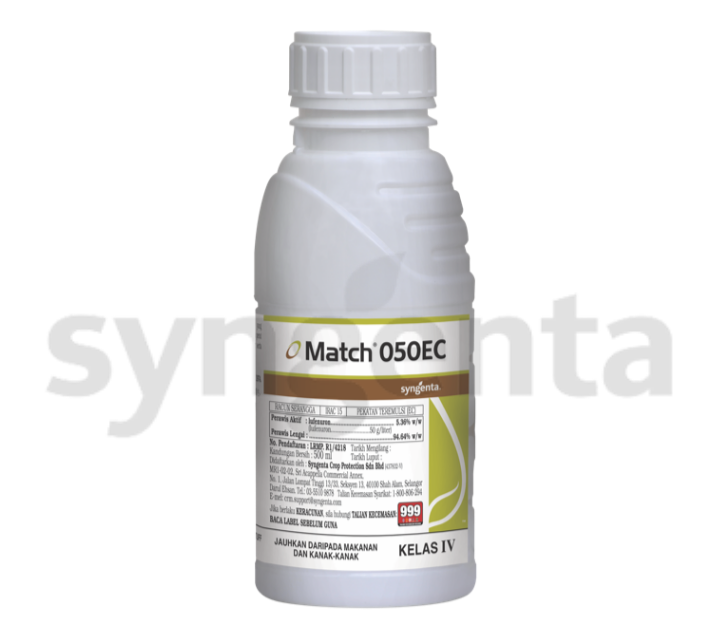 Match