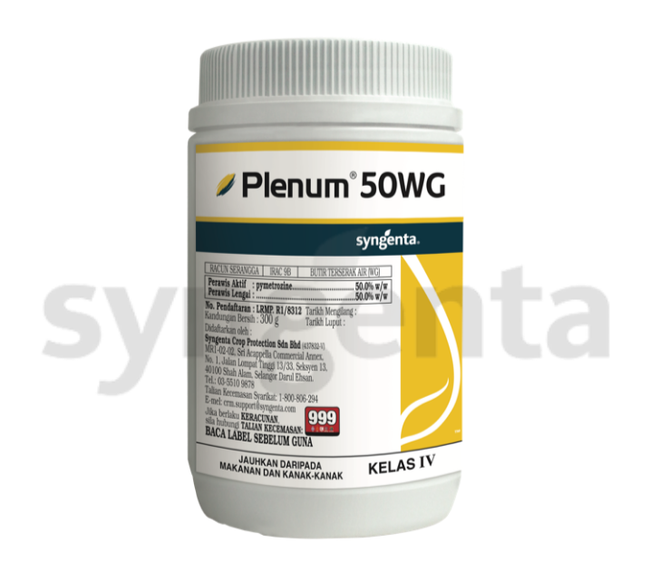 Plenum
