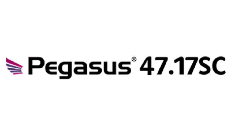 Pegasus