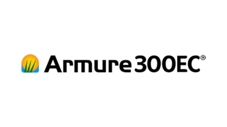 Armure